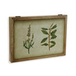 Decorative box Wood BigBuy Home