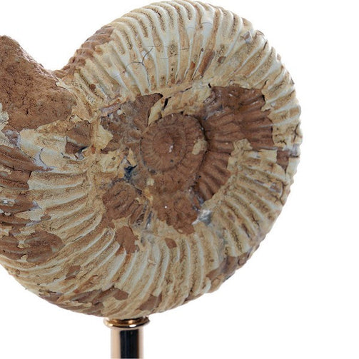 Decorative Figure Dekodonia Acrylic Metal Resin (12 x 8 x 20 cm) Dekodonia