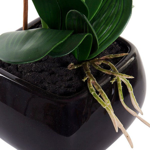 Decorative Flower Dekodonia Foam Ceramic Iron (2 pcs) Dekodonia