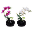 Decorative Flower Dekodonia Foam Ceramic Iron (2 pcs) Dekodonia