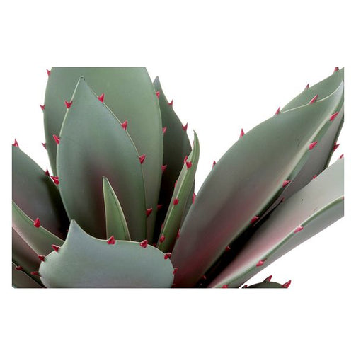 Decorative Plant Dekodonia polypropylene EVA (52 x 52 x 52 cm) Dekodonia