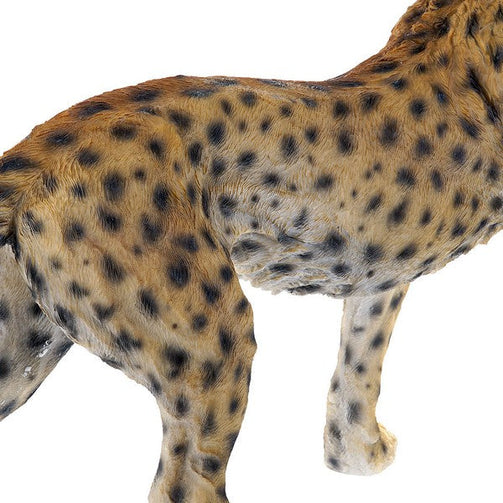 Sculpture Dekodonia Leopard (69 x 20 x 42 cm) Dekodonia