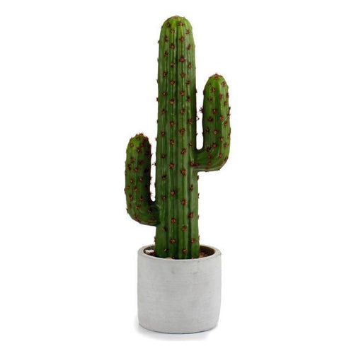 Cactus Plastic Cactus (10 x 38 x 13 cm) Ibergarden