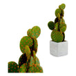 Cactus Cactus 50 (12 x 47 x 12 cm) Ibergarden