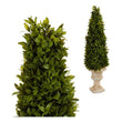 Decorative Plant (20 x 60 x 20 cm) Ibergarden