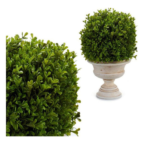 Decorative Plant (33 x 37 x 30 cm) Ibergarden