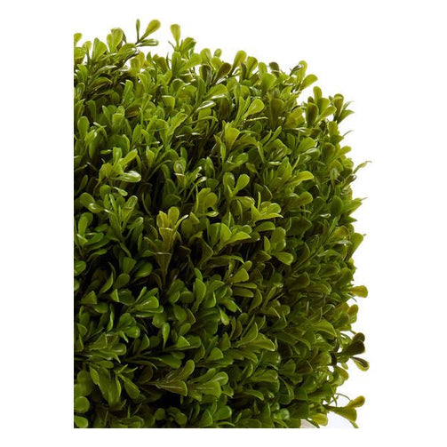 Decorative Plant (33 x 37 x 30 cm) Ibergarden