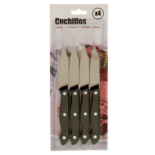 Peeler Knife Metal Plastic (4 pcs) (1,5 x 28 x 11 cm) BigBuy Home