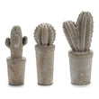 Cactus Stone Cactus 3 (11 x 28 x 11 cm) Ibergarden