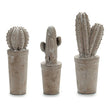 Cactus Stone Cactus 3 (13 x 38 x 13 cm) Ibergarden