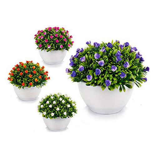 Decorative Plant Plastic (14 x 12 x 14 cm) Ibergarden