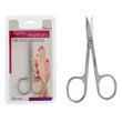 Nail Scissors Silver (0,1 x 9 x 4,5	 cm) BigBuy Beauty