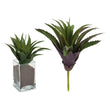 Decorative Plant (25 x 27 x 25 cm) Ibergarden