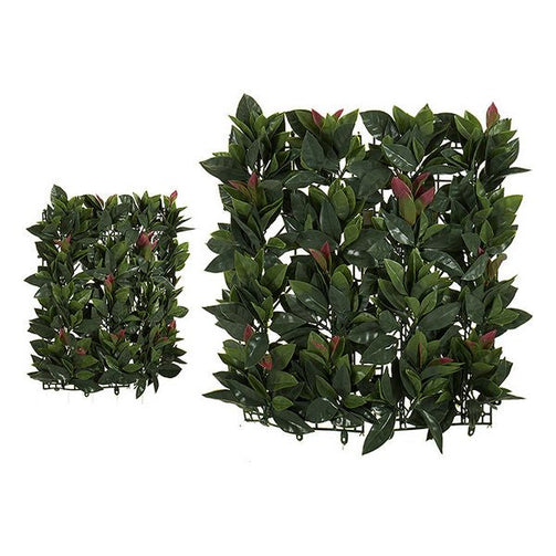 Decorative Plant Plastic (4 x 50 x 50 cm) Ibergarden