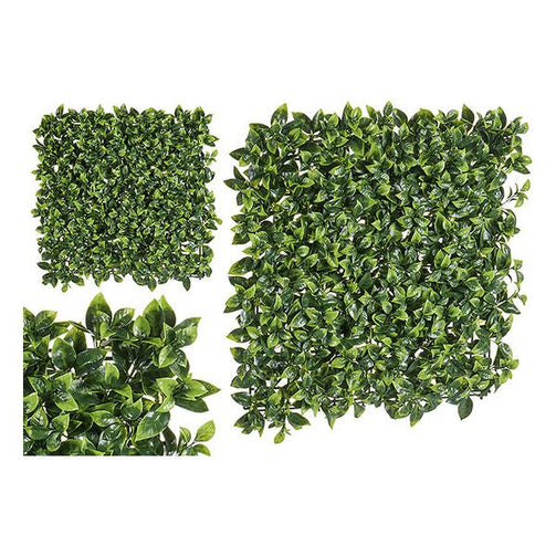 Decorative Plant Plastic (50 x 4 x 50 cm) Ibergarden