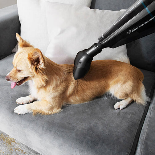 Cyclonic Hand-held Vacuum Cleaner Cecotec Conga Immortal ExtremeSuction Animal Hand 0,5 L 22,2 V Black Cecotec