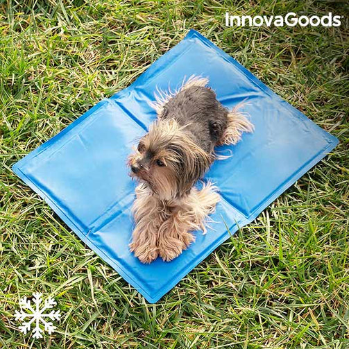 InnovaGoods Refreshing Pet Mat (40 x 50 cm) InnovaGoods