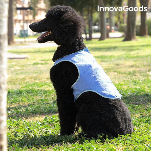 InnovaGoods Refreshing Pet Vest for Medium Pets - M InnovaGoods