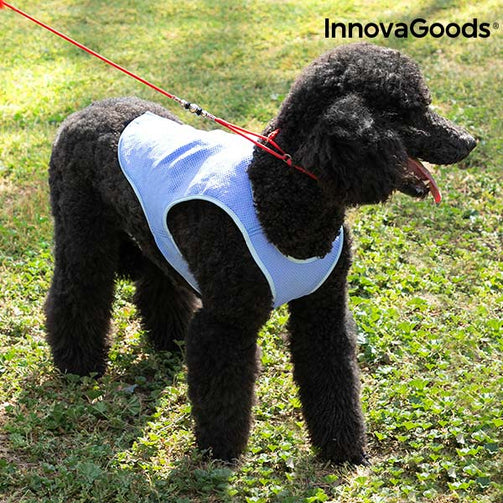 InnovaGoods Refreshing Pet Vest for Medium Pets - M InnovaGoods